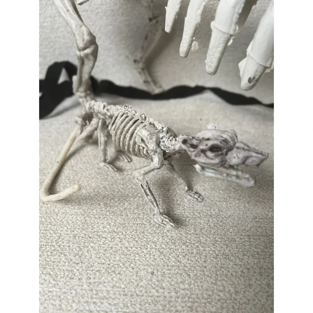 Skeleton Dogs Halloween Decorations Realistic Bones Scary Horror Lot 2